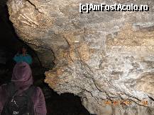 [P36]  -- <small>// FĂRĂ DESCRIERE</small> » foto by LidiaV
 - 
<span class="allrVoted glyphicon glyphicon-heart hidden" id="av491446"></span>
<a class="m-l-10 hidden" id="sv491446" onclick="voting_Foto_DelVot(,491446,4543)" role="button">șterge vot <span class="glyphicon glyphicon-remove"></span></a>
<a id="v9491446" class=" c-red"  onclick="voting_Foto_SetVot(491446)" role="button"><span class="glyphicon glyphicon-heart-empty"></span> <b>LIKE</b> = Votează poza</a> <img class="hidden"  id="f491446W9" src="/imagini/loader.gif" border="0" /><span class="AjErrMes hidden" id="e491446ErM"></span>