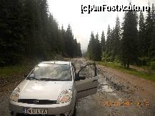 [P40]  -- <small>// FĂRĂ DESCRIERE</small> » foto by LidiaV
 - 
<span class="allrVoted glyphicon glyphicon-heart hidden" id="av491450"></span>
<a class="m-l-10 hidden" id="sv491450" onclick="voting_Foto_DelVot(,491450,4543)" role="button">șterge vot <span class="glyphicon glyphicon-remove"></span></a>
<a id="v9491450" class=" c-red"  onclick="voting_Foto_SetVot(491450)" role="button"><span class="glyphicon glyphicon-heart-empty"></span> <b>LIKE</b> = Votează poza</a> <img class="hidden"  id="f491450W9" src="/imagini/loader.gif" border="0" /><span class="AjErrMes hidden" id="e491450ErM"></span>