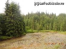 [P41]  -- <small>// FĂRĂ DESCRIERE</small> » foto by LidiaV
 - 
<span class="allrVoted glyphicon glyphicon-heart hidden" id="av491451"></span>
<a class="m-l-10 hidden" id="sv491451" onclick="voting_Foto_DelVot(,491451,4543)" role="button">șterge vot <span class="glyphicon glyphicon-remove"></span></a>
<a id="v9491451" class=" c-red"  onclick="voting_Foto_SetVot(491451)" role="button"><span class="glyphicon glyphicon-heart-empty"></span> <b>LIKE</b> = Votează poza</a> <img class="hidden"  id="f491451W9" src="/imagini/loader.gif" border="0" /><span class="AjErrMes hidden" id="e491451ErM"></span>