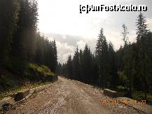 [P42]  -- <small>// FĂRĂ DESCRIERE</small> » foto by LidiaV
 - 
<span class="allrVoted glyphicon glyphicon-heart hidden" id="av491452"></span>
<a class="m-l-10 hidden" id="sv491452" onclick="voting_Foto_DelVot(,491452,4543)" role="button">șterge vot <span class="glyphicon glyphicon-remove"></span></a>
<a id="v9491452" class=" c-red"  onclick="voting_Foto_SetVot(491452)" role="button"><span class="glyphicon glyphicon-heart-empty"></span> <b>LIKE</b> = Votează poza</a> <img class="hidden"  id="f491452W9" src="/imagini/loader.gif" border="0" /><span class="AjErrMes hidden" id="e491452ErM"></span>