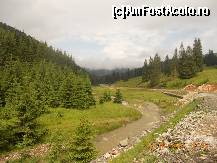 [P44]  -- <small>// FĂRĂ DESCRIERE</small> » foto by LidiaV
 - 
<span class="allrVoted glyphicon glyphicon-heart hidden" id="av491454"></span>
<a class="m-l-10 hidden" id="sv491454" onclick="voting_Foto_DelVot(,491454,4543)" role="button">șterge vot <span class="glyphicon glyphicon-remove"></span></a>
<a id="v9491454" class=" c-red"  onclick="voting_Foto_SetVot(491454)" role="button"><span class="glyphicon glyphicon-heart-empty"></span> <b>LIKE</b> = Votează poza</a> <img class="hidden"  id="f491454W9" src="/imagini/loader.gif" border="0" /><span class="AjErrMes hidden" id="e491454ErM"></span>