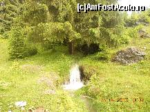 [P45]  -- <small>// FĂRĂ DESCRIERE</small> » foto by LidiaV
 - 
<span class="allrVoted glyphicon glyphicon-heart hidden" id="av491455"></span>
<a class="m-l-10 hidden" id="sv491455" onclick="voting_Foto_DelVot(,491455,4543)" role="button">șterge vot <span class="glyphicon glyphicon-remove"></span></a>
<a id="v9491455" class=" c-red"  onclick="voting_Foto_SetVot(491455)" role="button"><span class="glyphicon glyphicon-heart-empty"></span> <b>LIKE</b> = Votează poza</a> <img class="hidden"  id="f491455W9" src="/imagini/loader.gif" border="0" /><span class="AjErrMes hidden" id="e491455ErM"></span>