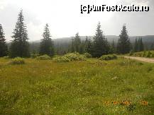 [P05]  -- <small>// FĂRĂ DESCRIERE</small> » foto by LidiaV
 - 
<span class="allrVoted glyphicon glyphicon-heart hidden" id="av491415"></span>
<a class="m-l-10 hidden" id="sv491415" onclick="voting_Foto_DelVot(,491415,4543)" role="button">șterge vot <span class="glyphicon glyphicon-remove"></span></a>
<a id="v9491415" class=" c-red"  onclick="voting_Foto_SetVot(491415)" role="button"><span class="glyphicon glyphicon-heart-empty"></span> <b>LIKE</b> = Votează poza</a> <img class="hidden"  id="f491415W9" src="/imagini/loader.gif" border="0" /><span class="AjErrMes hidden" id="e491415ErM"></span>