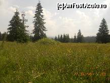 [P07]  -- <small>// FĂRĂ DESCRIERE</small> » foto by LidiaV
 - 
<span class="allrVoted glyphicon glyphicon-heart hidden" id="av491417"></span>
<a class="m-l-10 hidden" id="sv491417" onclick="voting_Foto_DelVot(,491417,4543)" role="button">șterge vot <span class="glyphicon glyphicon-remove"></span></a>
<a id="v9491417" class=" c-red"  onclick="voting_Foto_SetVot(491417)" role="button"><span class="glyphicon glyphicon-heart-empty"></span> <b>LIKE</b> = Votează poza</a> <img class="hidden"  id="f491417W9" src="/imagini/loader.gif" border="0" /><span class="AjErrMes hidden" id="e491417ErM"></span>