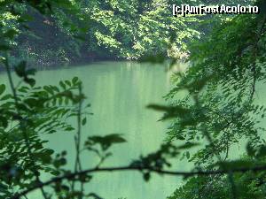 [P10]  -- <small>// FĂRĂ DESCRIERE</small> » foto by IULIU ANTAL
 - 
<span class="allrVoted glyphicon glyphicon-heart hidden" id="av573984"></span>
<a class="m-l-10 hidden" id="sv573984" onclick="voting_Foto_DelVot(,573984,4543)" role="button">șterge vot <span class="glyphicon glyphicon-remove"></span></a>
<a id="v9573984" class=" c-red"  onclick="voting_Foto_SetVot(573984)" role="button"><span class="glyphicon glyphicon-heart-empty"></span> <b>LIKE</b> = Votează poza</a> <img class="hidden"  id="f573984W9" src="/imagini/loader.gif" border="0" /><span class="AjErrMes hidden" id="e573984ErM"></span>