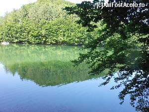 [P12]  -- <small>// FĂRĂ DESCRIERE</small> » foto by IULIU ANTAL
 - 
<span class="allrVoted glyphicon glyphicon-heart hidden" id="av573986"></span>
<a class="m-l-10 hidden" id="sv573986" onclick="voting_Foto_DelVot(,573986,4543)" role="button">șterge vot <span class="glyphicon glyphicon-remove"></span></a>
<a id="v9573986" class=" c-red"  onclick="voting_Foto_SetVot(573986)" role="button"><span class="glyphicon glyphicon-heart-empty"></span> <b>LIKE</b> = Votează poza</a> <img class="hidden"  id="f573986W9" src="/imagini/loader.gif" border="0" /><span class="AjErrMes hidden" id="e573986ErM"></span>