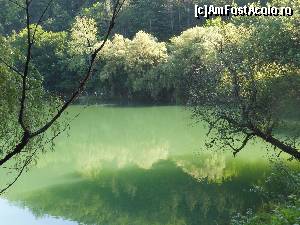 [P05]  -- <small>// FĂRĂ DESCRIERE</small> » foto by IULIU ANTAL
 - 
<span class="allrVoted glyphicon glyphicon-heart hidden" id="av573979"></span>
<a class="m-l-10 hidden" id="sv573979" onclick="voting_Foto_DelVot(,573979,4543)" role="button">șterge vot <span class="glyphicon glyphicon-remove"></span></a>
<a id="v9573979" class=" c-red"  onclick="voting_Foto_SetVot(573979)" role="button"><span class="glyphicon glyphicon-heart-empty"></span> <b>LIKE</b> = Votează poza</a> <img class="hidden"  id="f573979W9" src="/imagini/loader.gif" border="0" /><span class="AjErrMes hidden" id="e573979ErM"></span>