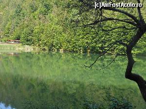 [P06]  -- <small>// FĂRĂ DESCRIERE</small> » foto by IULIU ANTAL
 - 
<span class="allrVoted glyphicon glyphicon-heart hidden" id="av573980"></span>
<a class="m-l-10 hidden" id="sv573980" onclick="voting_Foto_DelVot(,573980,4543)" role="button">șterge vot <span class="glyphicon glyphicon-remove"></span></a>
<a id="v9573980" class=" c-red"  onclick="voting_Foto_SetVot(573980)" role="button"><span class="glyphicon glyphicon-heart-empty"></span> <b>LIKE</b> = Votează poza</a> <img class="hidden"  id="f573980W9" src="/imagini/loader.gif" border="0" /><span class="AjErrMes hidden" id="e573980ErM"></span>