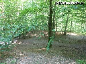 [P07]  -- <small>// FĂRĂ DESCRIERE</small> » foto by IULIU ANTAL
 - 
<span class="allrVoted glyphicon glyphicon-heart hidden" id="av573981"></span>
<a class="m-l-10 hidden" id="sv573981" onclick="voting_Foto_DelVot(,573981,4543)" role="button">șterge vot <span class="glyphicon glyphicon-remove"></span></a>
<a id="v9573981" class=" c-red"  onclick="voting_Foto_SetVot(573981)" role="button"><span class="glyphicon glyphicon-heart-empty"></span> <b>LIKE</b> = Votează poza</a> <img class="hidden"  id="f573981W9" src="/imagini/loader.gif" border="0" /><span class="AjErrMes hidden" id="e573981ErM"></span>