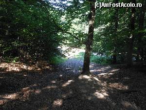 [P08]  -- <small>// FĂRĂ DESCRIERE</small> » foto by IULIU ANTAL
 - 
<span class="allrVoted glyphicon glyphicon-heart hidden" id="av573982"></span>
<a class="m-l-10 hidden" id="sv573982" onclick="voting_Foto_DelVot(,573982,4543)" role="button">șterge vot <span class="glyphicon glyphicon-remove"></span></a>
<a id="v9573982" class=" c-red"  onclick="voting_Foto_SetVot(573982)" role="button"><span class="glyphicon glyphicon-heart-empty"></span> <b>LIKE</b> = Votează poza</a> <img class="hidden"  id="f573982W9" src="/imagini/loader.gif" border="0" /><span class="AjErrMes hidden" id="e573982ErM"></span>