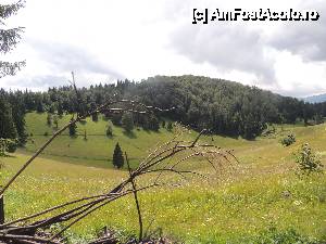 [P13]  -- <small>// FĂRĂ DESCRIERE</small> » foto by dan_calatorul
 - 
<span class="allrVoted glyphicon glyphicon-heart hidden" id="av440392"></span>
<a class="m-l-10 hidden" id="sv440392" onclick="voting_Foto_DelVot(,440392,4543)" role="button">șterge vot <span class="glyphicon glyphicon-remove"></span></a>
<a id="v9440392" class=" c-red"  onclick="voting_Foto_SetVot(440392)" role="button"><span class="glyphicon glyphicon-heart-empty"></span> <b>LIKE</b> = Votează poza</a> <img class="hidden"  id="f440392W9" src="/imagini/loader.gif" border="0" /><span class="AjErrMes hidden" id="e440392ErM"></span>