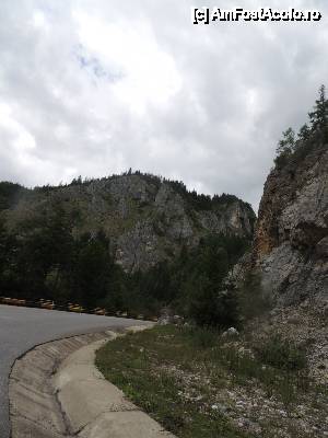 [P03]  -- <small>// FĂRĂ DESCRIERE</small> » foto by dan_calatorul
 - 
<span class="allrVoted glyphicon glyphicon-heart hidden" id="av440377"></span>
<a class="m-l-10 hidden" id="sv440377" onclick="voting_Foto_DelVot(,440377,4543)" role="button">șterge vot <span class="glyphicon glyphicon-remove"></span></a>
<a id="v9440377" class=" c-red"  onclick="voting_Foto_SetVot(440377)" role="button"><span class="glyphicon glyphicon-heart-empty"></span> <b>LIKE</b> = Votează poza</a> <img class="hidden"  id="f440377W9" src="/imagini/loader.gif" border="0" /><span class="AjErrMes hidden" id="e440377ErM"></span>