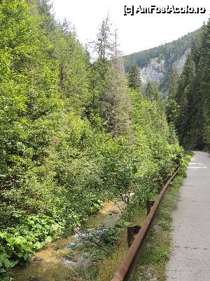 [P04]  -- <small>// FĂRĂ DESCRIERE</small> » foto by dan_calatorul
 - 
<span class="allrVoted glyphicon glyphicon-heart hidden" id="av440378"></span>
<a class="m-l-10 hidden" id="sv440378" onclick="voting_Foto_DelVot(,440378,4543)" role="button">șterge vot <span class="glyphicon glyphicon-remove"></span></a>
<a id="v9440378" class=" c-red"  onclick="voting_Foto_SetVot(440378)" role="button"><span class="glyphicon glyphicon-heart-empty"></span> <b>LIKE</b> = Votează poza</a> <img class="hidden"  id="f440378W9" src="/imagini/loader.gif" border="0" /><span class="AjErrMes hidden" id="e440378ErM"></span>