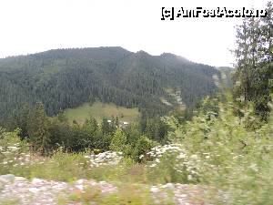 [P06]  -- <small>// FĂRĂ DESCRIERE</small> » foto by dan_calatorul
 - 
<span class="allrVoted glyphicon glyphicon-heart hidden" id="av440380"></span>
<a class="m-l-10 hidden" id="sv440380" onclick="voting_Foto_DelVot(,440380,4543)" role="button">șterge vot <span class="glyphicon glyphicon-remove"></span></a>
<a id="v9440380" class=" c-red"  onclick="voting_Foto_SetVot(440380)" role="button"><span class="glyphicon glyphicon-heart-empty"></span> <b>LIKE</b> = Votează poza</a> <img class="hidden"  id="f440380W9" src="/imagini/loader.gif" border="0" /><span class="AjErrMes hidden" id="e440380ErM"></span>