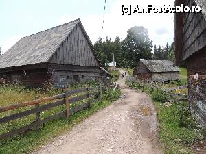 [P07] spre Scarisoara » foto by dan_calatorul
 - 
<span class="allrVoted glyphicon glyphicon-heart hidden" id="av440381"></span>
<a class="m-l-10 hidden" id="sv440381" onclick="voting_Foto_DelVot(,440381,4543)" role="button">șterge vot <span class="glyphicon glyphicon-remove"></span></a>
<a id="v9440381" class=" c-red"  onclick="voting_Foto_SetVot(440381)" role="button"><span class="glyphicon glyphicon-heart-empty"></span> <b>LIKE</b> = Votează poza</a> <img class="hidden"  id="f440381W9" src="/imagini/loader.gif" border="0" /><span class="AjErrMes hidden" id="e440381ErM"></span>