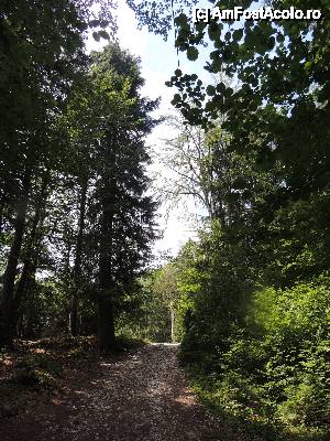 [P08] Si da-i si urca, si urca...  » foto by dan_calatorul
 - 
<span class="allrVoted glyphicon glyphicon-heart hidden" id="av440383"></span>
<a class="m-l-10 hidden" id="sv440383" onclick="voting_Foto_DelVot(,440383,4543)" role="button">șterge vot <span class="glyphicon glyphicon-remove"></span></a>
<a id="v9440383" class=" c-red"  onclick="voting_Foto_SetVot(440383)" role="button"><span class="glyphicon glyphicon-heart-empty"></span> <b>LIKE</b> = Votează poza</a> <img class="hidden"  id="f440383W9" src="/imagini/loader.gif" border="0" /><span class="AjErrMes hidden" id="e440383ErM"></span>