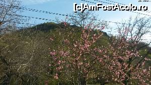 [P01] Cetatea de la Dezna » foto by Mina12
 - 
<span class="allrVoted glyphicon glyphicon-heart hidden" id="av697281"></span>
<a class="m-l-10 hidden" id="sv697281" onclick="voting_Foto_DelVot(,697281,4543)" role="button">șterge vot <span class="glyphicon glyphicon-remove"></span></a>
<a id="v9697281" class=" c-red"  onclick="voting_Foto_SetVot(697281)" role="button"><span class="glyphicon glyphicon-heart-empty"></span> <b>LIKE</b> = Votează poza</a> <img class="hidden"  id="f697281W9" src="/imagini/loader.gif" border="0" /><span class="AjErrMes hidden" id="e697281ErM"></span>