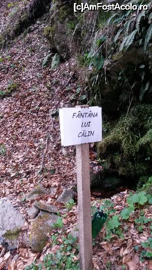 [P06] Fantana lui Calin la urcare pe Muntele Gaina » foto by Mina12
 - 
<span class="allrVoted glyphicon glyphicon-heart hidden" id="av697296"></span>
<a class="m-l-10 hidden" id="sv697296" onclick="voting_Foto_DelVot(,697296,4543)" role="button">șterge vot <span class="glyphicon glyphicon-remove"></span></a>
<a id="v9697296" class=" c-red"  onclick="voting_Foto_SetVot(697296)" role="button"><span class="glyphicon glyphicon-heart-empty"></span> <b>LIKE</b> = Votează poza</a> <img class="hidden"  id="f697296W9" src="/imagini/loader.gif" border="0" /><span class="AjErrMes hidden" id="e697296ErM"></span>