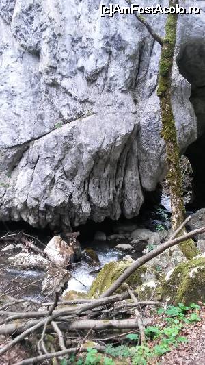 [P08] Podul Grohotului » foto by Mina12
 - 
<span class="allrVoted glyphicon glyphicon-heart hidden" id="av697299"></span>
<a class="m-l-10 hidden" id="sv697299" onclick="voting_Foto_DelVot(,697299,4543)" role="button">șterge vot <span class="glyphicon glyphicon-remove"></span></a>
<a id="v9697299" class=" c-red"  onclick="voting_Foto_SetVot(697299)" role="button"><span class="glyphicon glyphicon-heart-empty"></span> <b>LIKE</b> = Votează poza</a> <img class="hidden"  id="f697299W9" src="/imagini/loader.gif" border="0" /><span class="AjErrMes hidden" id="e697299ErM"></span>