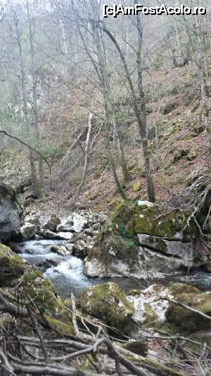 [P09] Valea Bulzestilor » foto by Mina12
 - 
<span class="allrVoted glyphicon glyphicon-heart hidden" id="av697301"></span>
<a class="m-l-10 hidden" id="sv697301" onclick="voting_Foto_DelVot(,697301,4543)" role="button">șterge vot <span class="glyphicon glyphicon-remove"></span></a>
<a id="v9697301" class=" c-red"  onclick="voting_Foto_SetVot(697301)" role="button"><span class="glyphicon glyphicon-heart-empty"></span> <b>LIKE</b> = Votează poza</a> <img class="hidden"  id="f697301W9" src="/imagini/loader.gif" border="0" /><span class="AjErrMes hidden" id="e697301ErM"></span>