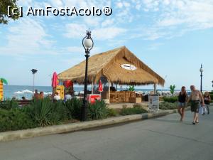[P18] Beach barul Tahiti.  » foto by andreieu
 - 
<span class="allrVoted glyphicon glyphicon-heart hidden" id="av757304"></span>
<a class="m-l-10 hidden" id="sv757304" onclick="voting_Foto_DelVot(,757304,4546)" role="button">șterge vot <span class="glyphicon glyphicon-remove"></span></a>
<a id="v9757304" class=" c-red"  onclick="voting_Foto_SetVot(757304)" role="button"><span class="glyphicon glyphicon-heart-empty"></span> <b>LIKE</b> = Votează poza</a> <img class="hidden"  id="f757304W9" src="/imagini/loader.gif" border="0" /><span class="AjErrMes hidden" id="e757304ErM"></span>