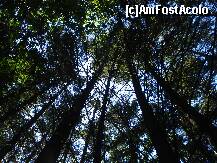 [P17]  -- <small>// FĂRĂ DESCRIERE</small> » foto by libertango
 - 
<span class="allrVoted glyphicon glyphicon-heart hidden" id="av207202"></span>
<a class="m-l-10 hidden" id="sv207202" onclick="voting_Foto_DelVot(,207202,4546)" role="button">șterge vot <span class="glyphicon glyphicon-remove"></span></a>
<a id="v9207202" class=" c-red"  onclick="voting_Foto_SetVot(207202)" role="button"><span class="glyphicon glyphicon-heart-empty"></span> <b>LIKE</b> = Votează poza</a> <img class="hidden"  id="f207202W9" src="/imagini/loader.gif" border="0" /><span class="AjErrMes hidden" id="e207202ErM"></span>