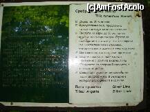 [P31] text braille » foto by libertango
 - 
<span class="allrVoted glyphicon glyphicon-heart hidden" id="av207216"></span>
<a class="m-l-10 hidden" id="sv207216" onclick="voting_Foto_DelVot(,207216,4546)" role="button">șterge vot <span class="glyphicon glyphicon-remove"></span></a>
<a id="v9207216" class=" c-red"  onclick="voting_Foto_SetVot(207216)" role="button"><span class="glyphicon glyphicon-heart-empty"></span> <b>LIKE</b> = Votează poza</a> <img class="hidden"  id="f207216W9" src="/imagini/loader.gif" border="0" /><span class="AjErrMes hidden" id="e207216ErM"></span>