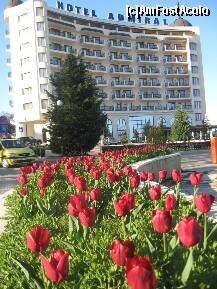 [P20] Lalele rosii si un hotel de lux » foto by dorgo
 - 
<span class="allrVoted glyphicon glyphicon-heart hidden" id="av197010"></span>
<a class="m-l-10 hidden" id="sv197010" onclick="voting_Foto_DelVot(,197010,4546)" role="button">șterge vot <span class="glyphicon glyphicon-remove"></span></a>
<a id="v9197010" class=" c-red"  onclick="voting_Foto_SetVot(197010)" role="button"><span class="glyphicon glyphicon-heart-empty"></span> <b>LIKE</b> = Votează poza</a> <img class="hidden"  id="f197010W9" src="/imagini/loader.gif" border="0" /><span class="AjErrMes hidden" id="e197010ErM"></span>
