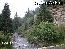 [P17] Deşi se văd urmele celor veniţi la iarbă verde, locurile sunt încă puţin frecventate, iar apele Lotrului sunt încă limpezi » foto by Costi
 - 
<span class="allrVoted glyphicon glyphicon-heart hidden" id="av41174"></span>
<a class="m-l-10 hidden" id="sv41174" onclick="voting_Foto_DelVot(,41174,4551)" role="button">șterge vot <span class="glyphicon glyphicon-remove"></span></a>
<a id="v941174" class=" c-red"  onclick="voting_Foto_SetVot(41174)" role="button"><span class="glyphicon glyphicon-heart-empty"></span> <b>LIKE</b> = Votează poza</a> <img class="hidden"  id="f41174W9" src="/imagini/loader.gif" border="0" /><span class="AjErrMes hidden" id="e41174ErM"></span>