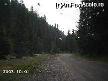 [P18] Se pare că falnicii brazi nu mai au viaţă lungă, au început defrişările! Nici asfaltul şoselei nu este într-o stare prea bună. » foto by Costi
 - 
<span class="allrVoted glyphicon glyphicon-heart hidden" id="av41175"></span>
<a class="m-l-10 hidden" id="sv41175" onclick="voting_Foto_DelVot(,41175,4551)" role="button">șterge vot <span class="glyphicon glyphicon-remove"></span></a>
<a id="v941175" class=" c-red"  onclick="voting_Foto_SetVot(41175)" role="button"><span class="glyphicon glyphicon-heart-empty"></span> <b>LIKE</b> = Votează poza</a> <img class="hidden"  id="f41175W9" src="/imagini/loader.gif" border="0" /><span class="AjErrMes hidden" id="e41175ErM"></span>