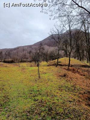 [P10] Zona Șușiței - numai peisaj de iarnă nu e. » foto by tata123 🔱
 - 
<span class="allrVoted glyphicon glyphicon-heart hidden" id="av1351233"></span>
<a class="m-l-10 hidden" id="sv1351233" onclick="voting_Foto_DelVot(,1351233,4551)" role="button">șterge vot <span class="glyphicon glyphicon-remove"></span></a>
<a id="v91351233" class=" c-red"  onclick="voting_Foto_SetVot(1351233)" role="button"><span class="glyphicon glyphicon-heart-empty"></span> <b>LIKE</b> = Votează poza</a> <img class="hidden"  id="f1351233W9" src="/imagini/loader.gif" border="0" /><span class="AjErrMes hidden" id="e1351233ErM"></span>