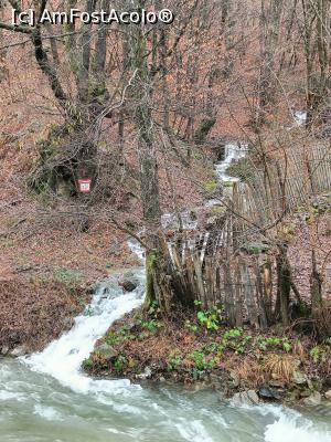 [P07] Mici fire de apă se varsă în multe cascade în Râul Șușița. » foto by tata123 🔱
 - 
<span class="allrVoted glyphicon glyphicon-heart hidden" id="av1351230"></span>
<a class="m-l-10 hidden" id="sv1351230" onclick="voting_Foto_DelVot(,1351230,4551)" role="button">șterge vot <span class="glyphicon glyphicon-remove"></span></a>
<a id="v91351230" class=" c-red"  onclick="voting_Foto_SetVot(1351230)" role="button"><span class="glyphicon glyphicon-heart-empty"></span> <b>LIKE</b> = Votează poza</a> <img class="hidden"  id="f1351230W9" src="/imagini/loader.gif" border="0" /><span class="AjErrMes hidden" id="e1351230ErM"></span>