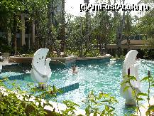[P03] zona cu jaccuzzi in piscina superioara » foto by gabitza76
 - 
<span class="allrVoted glyphicon glyphicon-heart hidden" id="av41543"></span>
<a class="m-l-10 hidden" id="sv41543" onclick="voting_Foto_DelVot(,41543,4567)" role="button">șterge vot <span class="glyphicon glyphicon-remove"></span></a>
<a id="v941543" class=" c-red"  onclick="voting_Foto_SetVot(41543)" role="button"><span class="glyphicon glyphicon-heart-empty"></span> <b>LIKE</b> = Votează poza</a> <img class="hidden"  id="f41543W9" src="/imagini/loader.gif" border="0" /><span class="AjErrMes hidden" id="e41543ErM"></span>