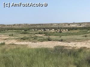 [P14] Drum catre plaja » foto by belcinoasa
 - 
<span class="allrVoted glyphicon glyphicon-heart hidden" id="av1170031"></span>
<a class="m-l-10 hidden" id="sv1170031" onclick="voting_Foto_DelVot(,1170031,4577)" role="button">șterge vot <span class="glyphicon glyphicon-remove"></span></a>
<a id="v91170031" class=" c-red"  onclick="voting_Foto_SetVot(1170031)" role="button"><span class="glyphicon glyphicon-heart-empty"></span> <b>LIKE</b> = Votează poza</a> <img class="hidden"  id="f1170031W9" src="/imagini/loader.gif" border="0" /><span class="AjErrMes hidden" id="e1170031ErM"></span>