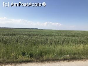 [P16] Balta cu stuf » foto by belcinoasa
 - 
<span class="allrVoted glyphicon glyphicon-heart hidden" id="av1170033"></span>
<a class="m-l-10 hidden" id="sv1170033" onclick="voting_Foto_DelVot(,1170033,4577)" role="button">șterge vot <span class="glyphicon glyphicon-remove"></span></a>
<a id="v91170033" class=" c-red"  onclick="voting_Foto_SetVot(1170033)" role="button"><span class="glyphicon glyphicon-heart-empty"></span> <b>LIKE</b> = Votează poza</a> <img class="hidden"  id="f1170033W9" src="/imagini/loader.gif" border="0" /><span class="AjErrMes hidden" id="e1170033ErM"></span>