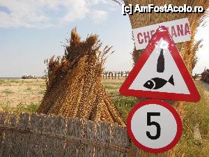 [P05]  -- <small>// FĂRĂ DESCRIERE</small> » foto by no_oxigen
 - 
<span class="allrVoted glyphicon glyphicon-heart hidden" id="av422299"></span>
<a class="m-l-10 hidden" id="sv422299" onclick="voting_Foto_DelVot(,422299,4577)" role="button">șterge vot <span class="glyphicon glyphicon-remove"></span></a>
<a id="v9422299" class=" c-red"  onclick="voting_Foto_SetVot(422299)" role="button"><span class="glyphicon glyphicon-heart-empty"></span> <b>LIKE</b> = Votează poza</a> <img class="hidden"  id="f422299W9" src="/imagini/loader.gif" border="0" /><span class="AjErrMes hidden" id="e422299ErM"></span>