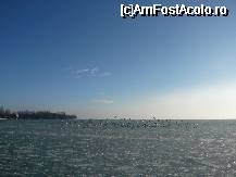 [P08] lacul » foto by Nicu
 - 
<span class="allrVoted glyphicon glyphicon-heart hidden" id="av45208"></span>
<a class="m-l-10 hidden" id="sv45208" onclick="voting_Foto_DelVot(,45208,4597)" role="button">șterge vot <span class="glyphicon glyphicon-remove"></span></a>
<a id="v945208" class=" c-red"  onclick="voting_Foto_SetVot(45208)" role="button"><span class="glyphicon glyphicon-heart-empty"></span> <b>LIKE</b> = Votează poza</a> <img class="hidden"  id="f45208W9" src="/imagini/loader.gif" border="0" /><span class="AjErrMes hidden" id="e45208ErM"></span>