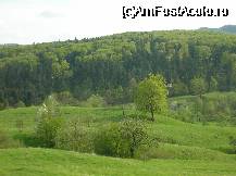 [P13x] spre Solonet, drumurile din Bucovina sunt foarte bune, recomand zona » foto by cristi82d
 - 
<span class="allrVoted glyphicon glyphicon-heart hidden" id="av27570"></span>
<a class="m-l-10 hidden" id="sv27570" onclick="voting_Foto_DelVot(,27570,4601)" role="button">șterge vot <span class="glyphicon glyphicon-remove"></span></a>
<a id="v927570" class=" c-red"  onclick="voting_Foto_SetVot(27570)" role="button"><span class="glyphicon glyphicon-heart-empty"></span> <b>LIKE</b> = Votează poza</a> <img class="hidden"  id="f27570W9" src="/imagini/loader.gif" border="0" /><span class="AjErrMes hidden" id="e27570ErM"></span>
