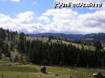 [P7x] imprejurimile comunei Cacica, judetul Suceava, zona linistita cu oameni ospitalieri » foto by cristi82d
 - 
<span class="allrVoted glyphicon glyphicon-heart hidden" id="av27564"></span>
<a class="m-l-10 hidden" id="sv27564" onclick="voting_Foto_DelVot(,27564,4601)" role="button">șterge vot <span class="glyphicon glyphicon-remove"></span></a>
<a id="v927564" class=" c-red"  onclick="voting_Foto_SetVot(27564)" role="button"><span class="glyphicon glyphicon-heart-empty"></span> <b>LIKE</b> = Votează poza</a> <img class="hidden"  id="f27564W9" src="/imagini/loader.gif" border="0" /><span class="AjErrMes hidden" id="e27564ErM"></span>