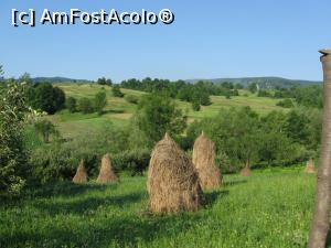 [P02] Pe dealurile din zona Cacica fânețele sunt la putere...  » foto by tata123 🔱
 - 
<span class="allrVoted glyphicon glyphicon-heart hidden" id="av720174"></span>
<a class="m-l-10 hidden" id="sv720174" onclick="voting_Foto_DelVot(,720174,4601)" role="button">șterge vot <span class="glyphicon glyphicon-remove"></span></a>
<a id="v9720174" class=" c-red"  onclick="voting_Foto_SetVot(720174)" role="button"><span class="glyphicon glyphicon-heart-empty"></span> <b>LIKE</b> = Votează poza</a> <img class="hidden"  id="f720174W9" src="/imagini/loader.gif" border="0" /><span class="AjErrMes hidden" id="e720174ErM"></span>