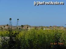 [P39] Cetatea Histria.  » foto by iulianic
 - 
<span class="allrVoted glyphicon glyphicon-heart hidden" id="av422246"></span>
<a class="m-l-10 hidden" id="sv422246" onclick="voting_Foto_DelVot(,422246,4623)" role="button">șterge vot <span class="glyphicon glyphicon-remove"></span></a>
<a id="v9422246" class=" c-red"  onclick="voting_Foto_SetVot(422246)" role="button"><span class="glyphicon glyphicon-heart-empty"></span> <b>LIKE</b> = Votează poza</a> <img class="hidden"  id="f422246W9" src="/imagini/loader.gif" border="0" /><span class="AjErrMes hidden" id="e422246ErM"></span>