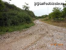 [P04] Nufăru - Pe drumul desfundat, în căutarea Cetăţii Prislav.  » foto by iulianic
 - 
<span class="allrVoted glyphicon glyphicon-heart hidden" id="av422190"></span>
<a class="m-l-10 hidden" id="sv422190" onclick="voting_Foto_DelVot(,422190,4623)" role="button">șterge vot <span class="glyphicon glyphicon-remove"></span></a>
<a id="v9422190" class=" c-red"  onclick="voting_Foto_SetVot(422190)" role="button"><span class="glyphicon glyphicon-heart-empty"></span> <b>LIKE</b> = Votează poza</a> <img class="hidden"  id="f422190W9" src="/imagini/loader.gif" border="0" /><span class="AjErrMes hidden" id="e422190ErM"></span>