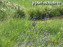 [P45] Istria - Rezervaţie naturală.  » foto by iulianic
 - 
<span class="allrVoted glyphicon glyphicon-heart hidden" id="av422254"></span>
<a class="m-l-10 hidden" id="sv422254" onclick="voting_Foto_DelVot(,422254,4623)" role="button">șterge vot <span class="glyphicon glyphicon-remove"></span></a>
<a id="v9422254" class=" c-red"  onclick="voting_Foto_SetVot(422254)" role="button"><span class="glyphicon glyphicon-heart-empty"></span> <b>LIKE</b> = Votează poza</a> <img class="hidden"  id="f422254W9" src="/imagini/loader.gif" border="0" /><span class="AjErrMes hidden" id="e422254ErM"></span>