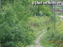 [P06] Nufăru - Pe drumul desfundat, în căutarea Cetăţii Prislav.  » foto by iulianic
 - 
<span class="allrVoted glyphicon glyphicon-heart hidden" id="av422192"></span>
<a class="m-l-10 hidden" id="sv422192" onclick="voting_Foto_DelVot(,422192,4623)" role="button">șterge vot <span class="glyphicon glyphicon-remove"></span></a>
<a id="v9422192" class=" c-red"  onclick="voting_Foto_SetVot(422192)" role="button"><span class="glyphicon glyphicon-heart-empty"></span> <b>LIKE</b> = Votează poza</a> <img class="hidden"  id="f422192W9" src="/imagini/loader.gif" border="0" /><span class="AjErrMes hidden" id="e422192ErM"></span>