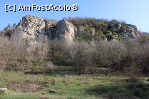 [P22] Rezervația Gura Dobrogei, jud. Constanța, Vedere de pe poteca de lângă Mănăstire » foto by mprofeanu
 - 
<span class="allrVoted glyphicon glyphicon-heart hidden" id="av1230081"></span>
<a class="m-l-10 hidden" id="sv1230081" onclick="voting_Foto_DelVot(,1230081,4623)" role="button">șterge vot <span class="glyphicon glyphicon-remove"></span></a>
<a id="v91230081" class=" c-red"  onclick="voting_Foto_SetVot(1230081)" role="button"><span class="glyphicon glyphicon-heart-empty"></span> <b>LIKE</b> = Votează poza</a> <img class="hidden"  id="f1230081W9" src="/imagini/loader.gif" border="0" /><span class="AjErrMes hidden" id="e1230081ErM"></span>