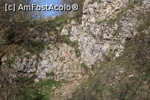[P30] Rezervația Gura Dobrogei, jud. Constanța, Pe aici am urcat la Peștera Liliecilor, se vede și punctul roșu... » foto by mprofeanu
 - 
<span class="allrVoted glyphicon glyphicon-heart hidden" id="av1230101"></span>
<a class="m-l-10 hidden" id="sv1230101" onclick="voting_Foto_DelVot(,1230101,4623)" role="button">șterge vot <span class="glyphicon glyphicon-remove"></span></a>
<a id="v91230101" class=" c-red"  onclick="voting_Foto_SetVot(1230101)" role="button"><span class="glyphicon glyphicon-heart-empty"></span> <b>LIKE</b> = Votează poza</a> <img class="hidden"  id="f1230101W9" src="/imagini/loader.gif" border="0" /><span class="AjErrMes hidden" id="e1230101ErM"></span>