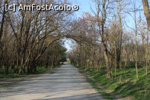 [P04] Rezervația Gura Dobrogei, jud. Constanța, Prin pădure pe drumul spre Mănăstirea Sf. Dionisie și Sf. Efrem » foto by mprofeanu
 - 
<span class="allrVoted glyphicon glyphicon-heart hidden" id="av1230058"></span>
<a class="m-l-10 hidden" id="sv1230058" onclick="voting_Foto_DelVot(,1230058,4623)" role="button">șterge vot <span class="glyphicon glyphicon-remove"></span></a>
<a id="v91230058" class=" c-red"  onclick="voting_Foto_SetVot(1230058)" role="button"><span class="glyphicon glyphicon-heart-empty"></span> <b>LIKE</b> = Votează poza</a> <img class="hidden"  id="f1230058W9" src="/imagini/loader.gif" border="0" /><span class="AjErrMes hidden" id="e1230058ErM"></span>
