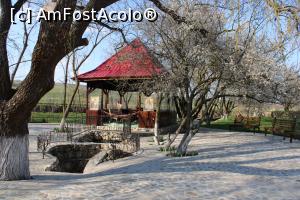 [P09] Rezervația Gura Dobrogei, jud. Constanța, Mănăstirea Sf. Dionisie și Sf. Efrem, Altarul de Vară dar și Izvorul » foto by mprofeanu
 - 
<span class="allrVoted glyphicon glyphicon-heart hidden" id="av1230063"></span>
<a class="m-l-10 hidden" id="sv1230063" onclick="voting_Foto_DelVot(,1230063,4623)" role="button">șterge vot <span class="glyphicon glyphicon-remove"></span></a>
<a id="v91230063" class=" c-red"  onclick="voting_Foto_SetVot(1230063)" role="button"><span class="glyphicon glyphicon-heart-empty"></span> <b>LIKE</b> = Votează poza</a> <img class="hidden"  id="f1230063W9" src="/imagini/loader.gif" border="0" /><span class="AjErrMes hidden" id="e1230063ErM"></span>