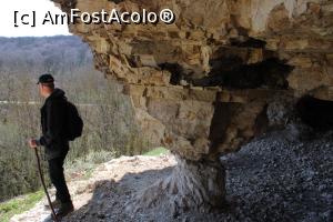 [P13] Rezervația Naturală Canaraua Fetii, jud. Constanța, O grotă terasă » foto by mprofeanu
 - 
<span class="allrVoted glyphicon glyphicon-heart hidden" id="av1230701"></span>
<a class="m-l-10 hidden" id="sv1230701" onclick="voting_Foto_DelVot(,1230701,4623)" role="button">șterge vot <span class="glyphicon glyphicon-remove"></span></a>
<a id="v91230701" class=" c-red"  onclick="voting_Foto_SetVot(1230701)" role="button"><span class="glyphicon glyphicon-heart-empty"></span> <b>LIKE</b> = Votează poza</a> <img class="hidden"  id="f1230701W9" src="/imagini/loader.gif" border="0" /><span class="AjErrMes hidden" id="e1230701ErM"></span>