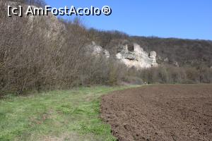 [P08] Rezervația Naturală Canaraua Fetii, jud. Constanța, Căutând poteca de urcare la stânci, am mers pe lângă liziera pădurii... » foto by mprofeanu
 - 
<span class="allrVoted glyphicon glyphicon-heart hidden" id="av1230696"></span>
<a class="m-l-10 hidden" id="sv1230696" onclick="voting_Foto_DelVot(,1230696,4623)" role="button">șterge vot <span class="glyphicon glyphicon-remove"></span></a>
<a id="v91230696" class=" c-red"  onclick="voting_Foto_SetVot(1230696)" role="button"><span class="glyphicon glyphicon-heart-empty"></span> <b>LIKE</b> = Votează poza</a> <img class="hidden"  id="f1230696W9" src="/imagini/loader.gif" border="0" /><span class="AjErrMes hidden" id="e1230696ErM"></span>